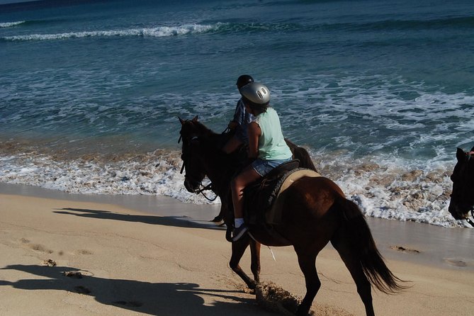 Punta Cana Horseback Riding on the Beach - Optional Purchases and Tips