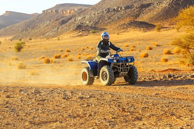 Quad and Camel Ride in the Palmgrove of Marrakech - Quad Bike and Camel Specifications