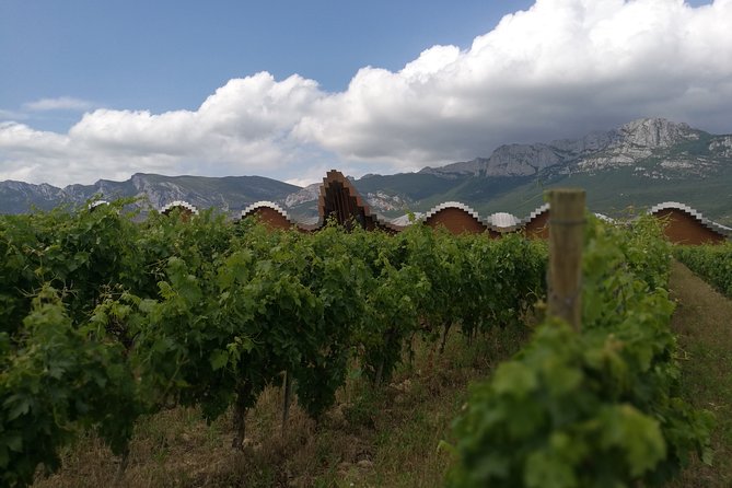 Rioja Wine Private Tour From San Sebastian - Cancellation Policy