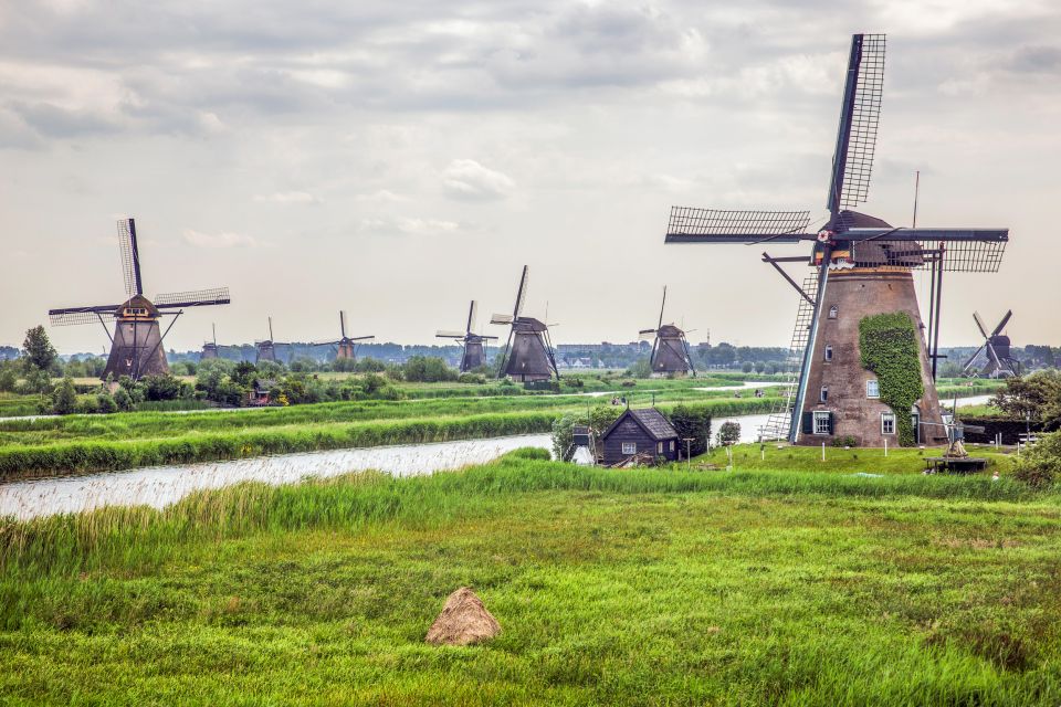 Rotterdam: Kinderdijk Windmill Village Entry Ticket - Customer Ratings and Reviews