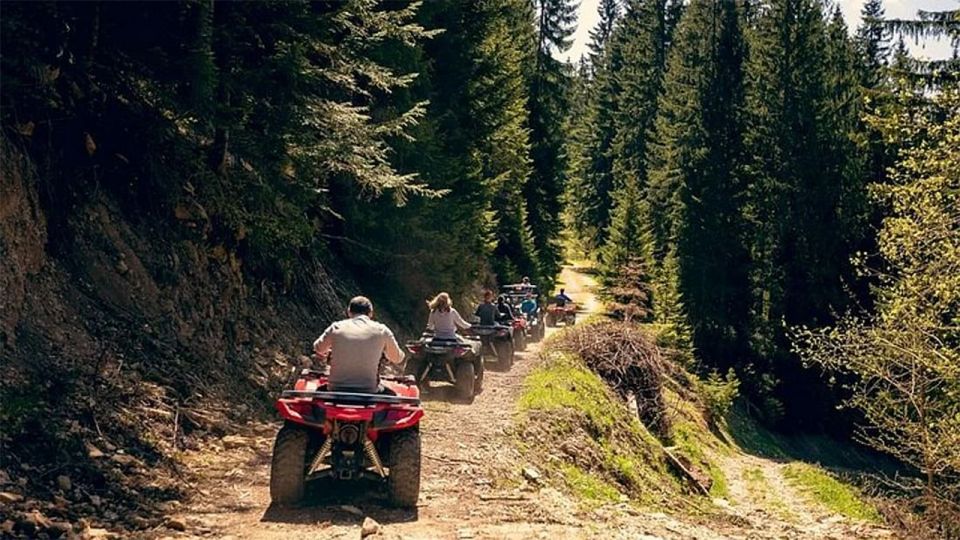 Rovaniemi: Midnight Sun, ATV Ride During The Golden Hour - Guided Tour Through Arctic Forest