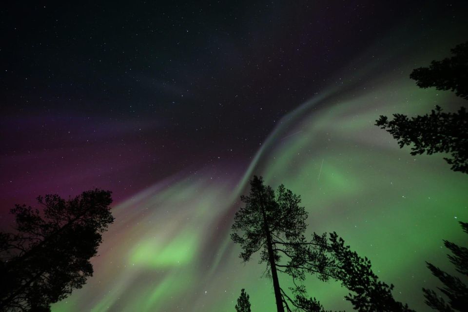 Rovaniemi: Northern Lights Hunting Tour - Group Size