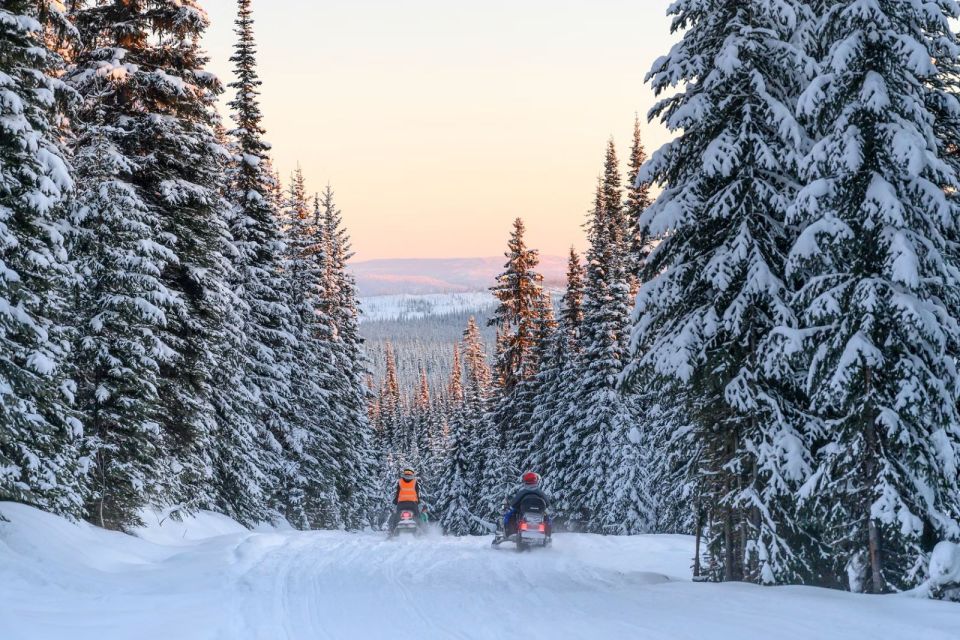 Rovaniemi: Snowmobile Safari Adventure - Important Information