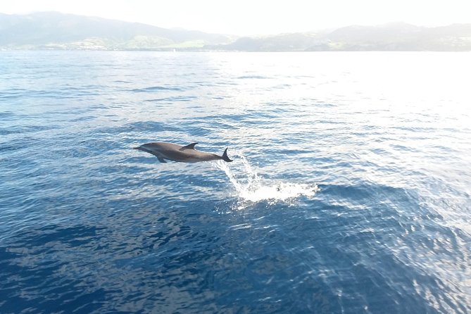 Sail/Snorkel Adventure From Sapphire Marina,Stt NO Crowds~ 6 GUEST MAX - Restrictions and Requirements