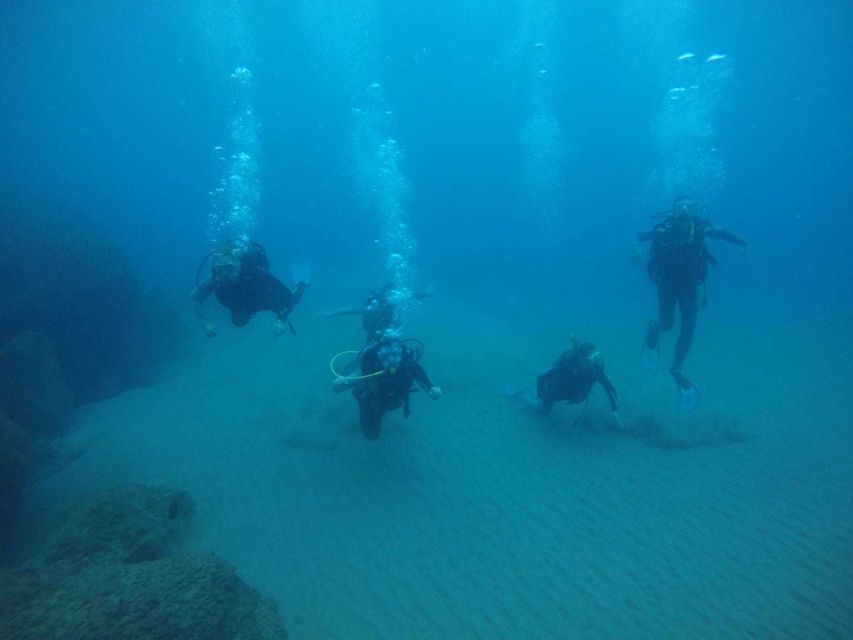 Salou: Scuba Diving for Beginners - Things To Known