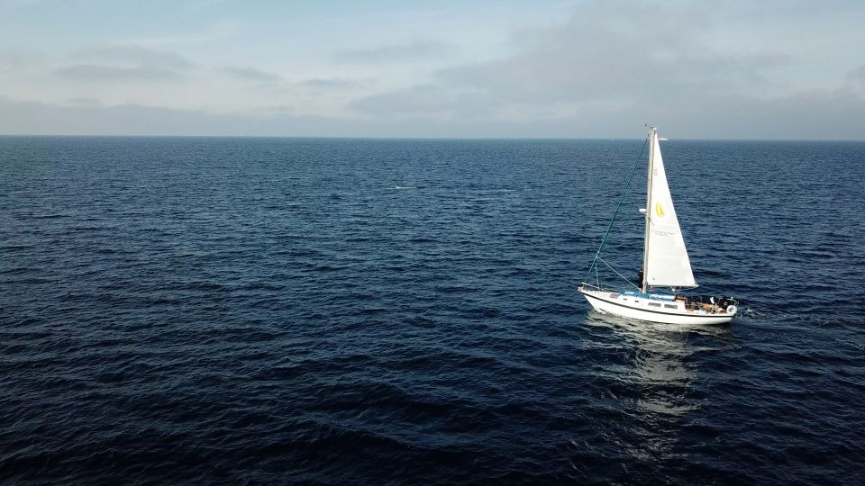 San Diego: Private 2-Hour Sailing Tour for 3-6 People - Learning Opportunities for Guests