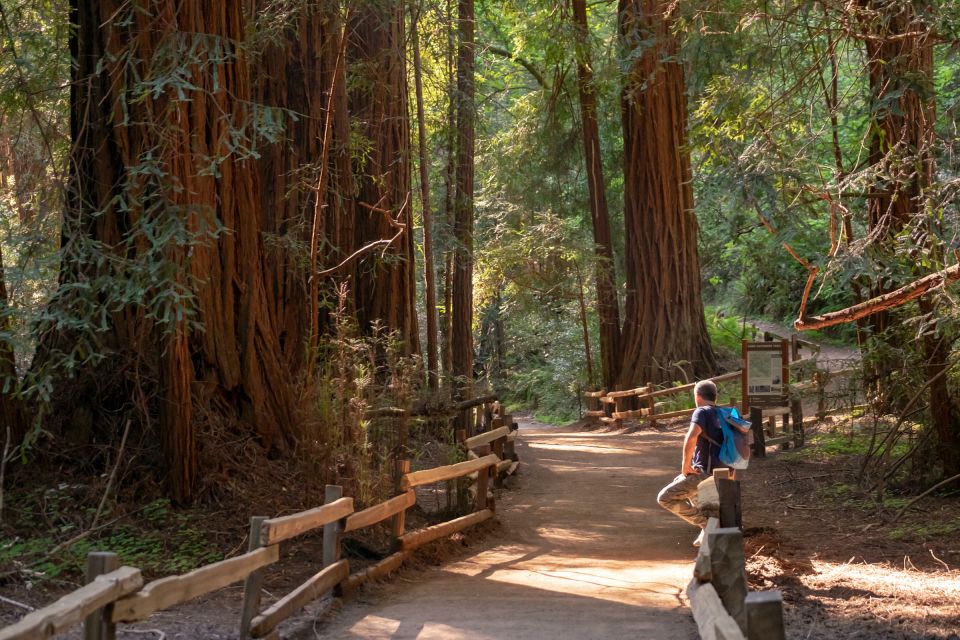 San Francisco: Private Muir Woods and Sausalito Tour - Tour Duration and Type