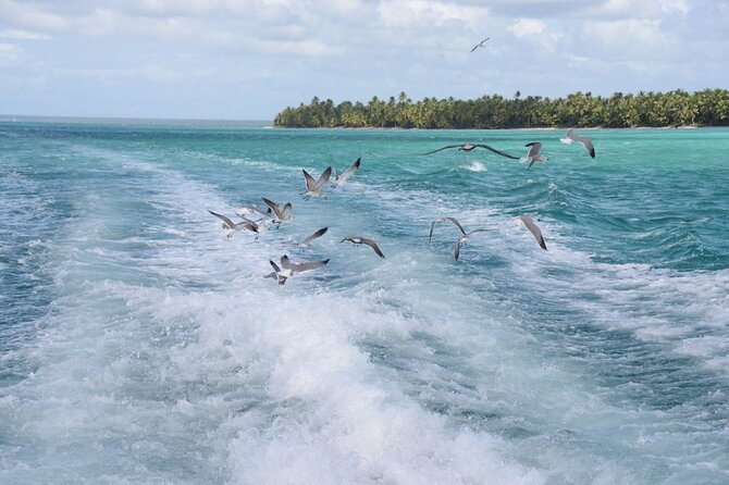 Saona, Mano Juan, Song of the Beach Away From the Tourist Crowds - Meeting and Pickup Options