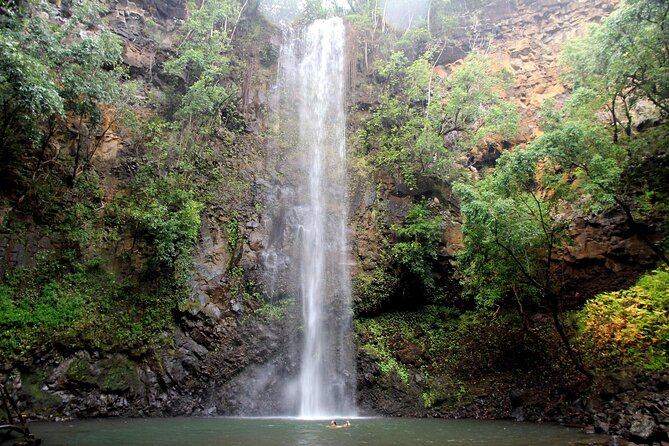 Secret Falls Kayak Hike in Kauai - Customer Feedback Highlights