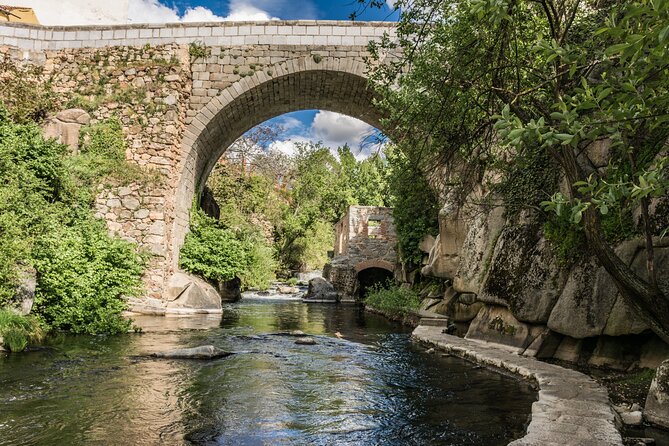 Segovia With Alcazar Guided Tour by High-Speed Train From Madrid - Accessibility