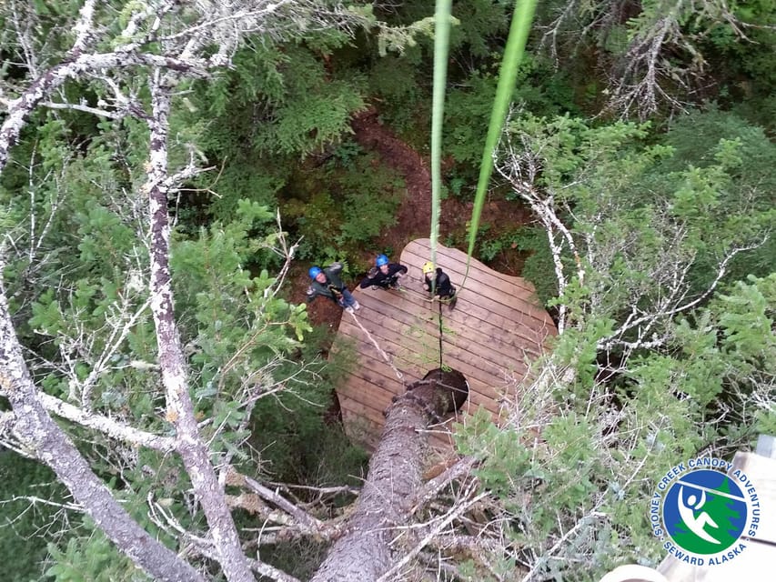 Seward: Stoney Creek Canopy Tour With Zipline - Guided Tour and Transportation Included