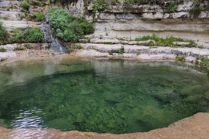 Sicilian Natural Parks, Trekking Eco Tour From the Sea to the Mountains - Cancellation Policy