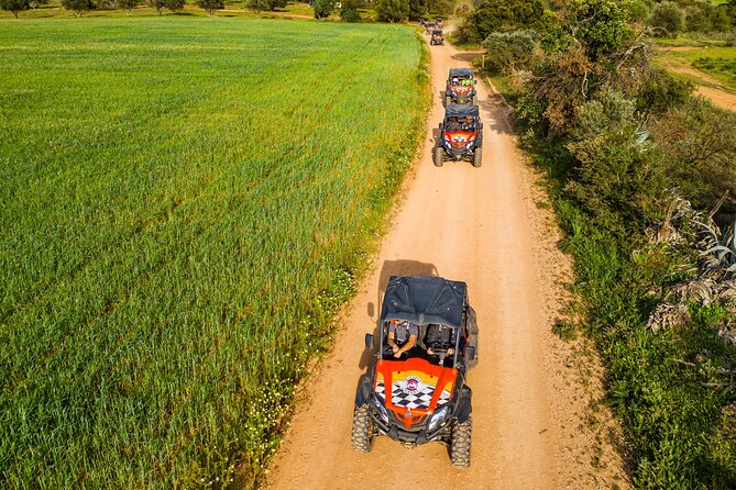 Small-Group Buggy Riding Safari in Algarve - Safety Considerations