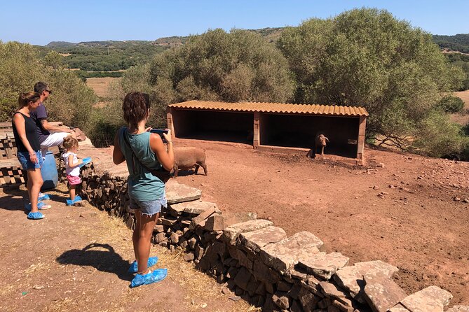 Small Group Cheese Making and Tasting From the Island of Baleares - Farm Tour and Interaction