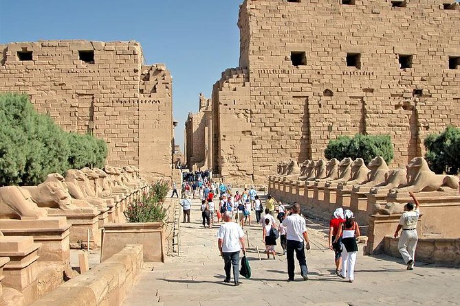 Small Group Full Day Trip to Luxor From Hurghada With Lunch - Valley of Kings Tombs