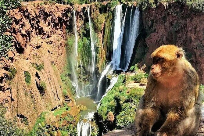 Small Group Ouzoud Waterfall Guided Tour Boat Ride From Marrakech - Cancellation Policy