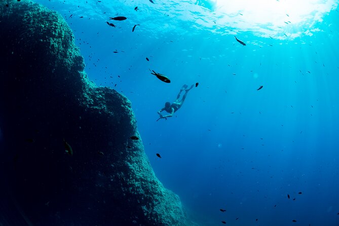 Snorkeling With Marine Biologist Expert From Sorrento - Gear and Logistics for Participants