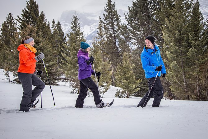 Snowshoeing Tour to the Paint Pots - Meeting Location and Pickup