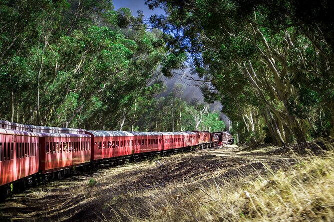 Steam Train to Elgin Railway Market - Highlights of the Journey