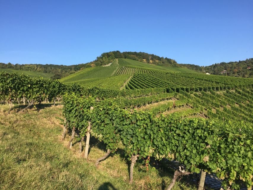 Stuttgart: 2-Hour Vineyard Hike With Tastings - Inclusions and Duration