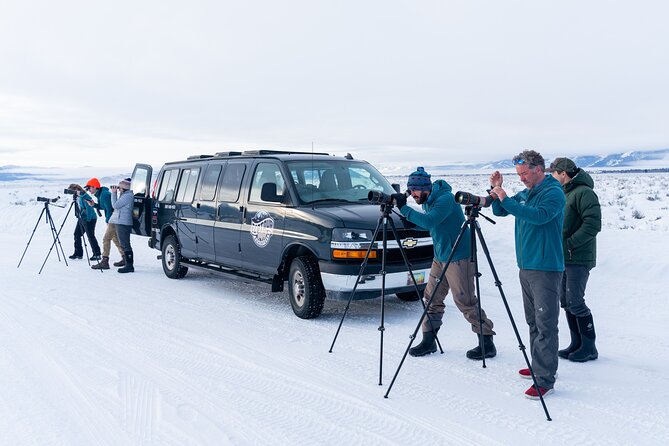 Sunrise 4-Hour Grand Teton Wildlife Adventure - Wildlife Viewing Opportunities