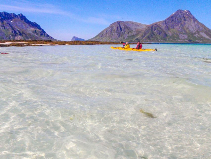 Svolvaer: Sea Kayaking Experience - Encountering Seabirds and Wildlife