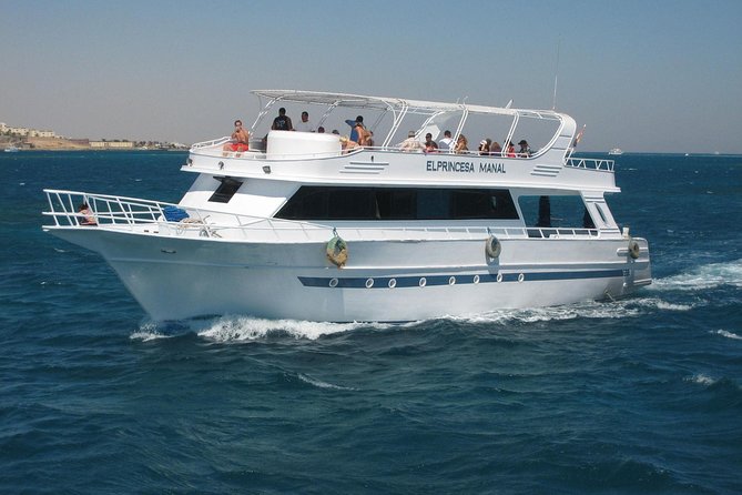 Swimming With Dolphin VIP Snorkeling Sea Trip With Lunch and Transfer - Hurghada - National Park Fees