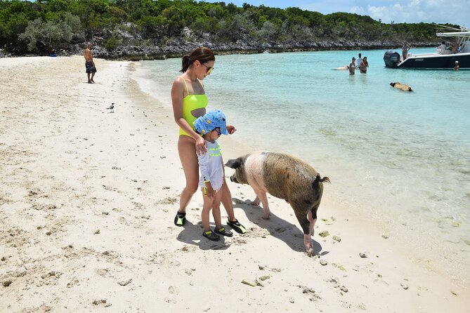 Swimming With Pigs in Nassau, Transportation Included - Relaxation and Beach Time