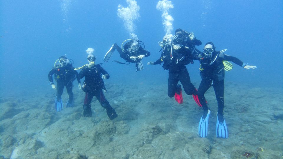 Tenerife; Guided Scuba Diving Trips by Boat in Small Groups - Additional Information