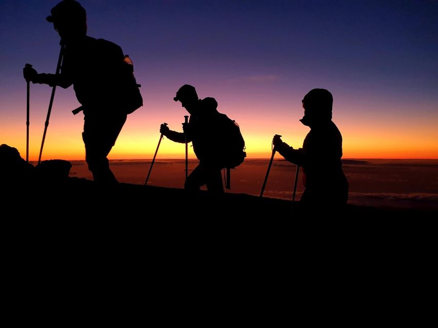 Tenerife: Teide Peak Hiking 3715m - Arrival and Cable Car Ascent