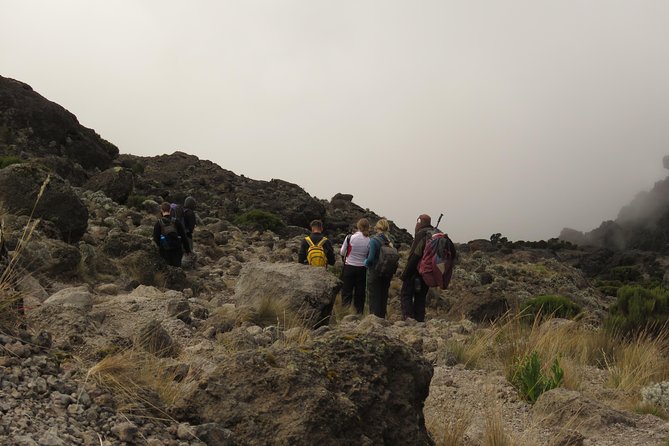 The Best & Unique Kilimanjaro Hiking Tour 7 Days Machame Route - Professional Guide and Camping Equipment