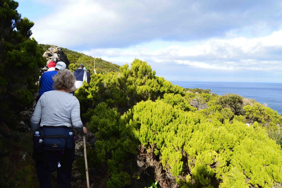 Third: Azores Half Day Hike - Pricing and Availability