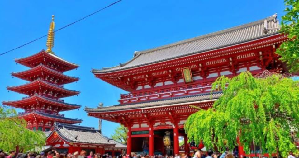 Tokyo: 1 Day Private Customisable City Tour by Car and Van - Tour Options