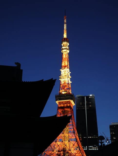 Tokyo: Private Tokyo Tower and Night Food Tour Review - Accessibility and Restrictions