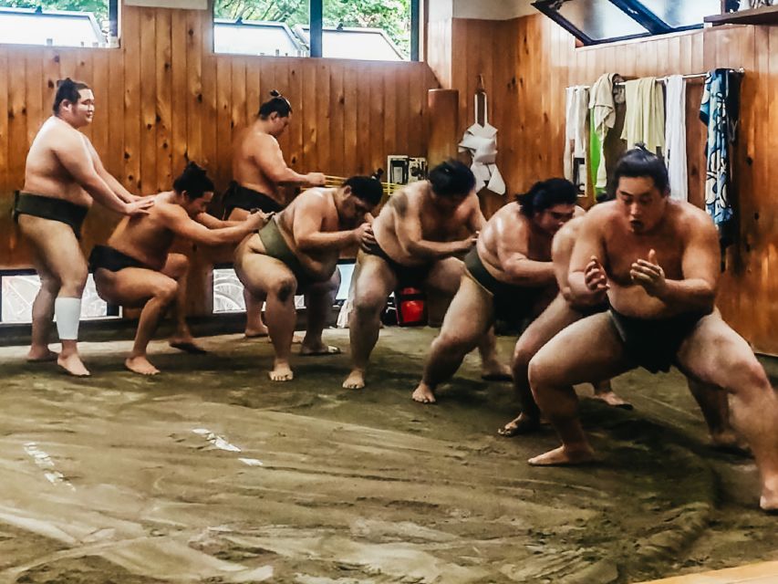 Tokyo: Sumo Morning Training Visit - Important Guidelines