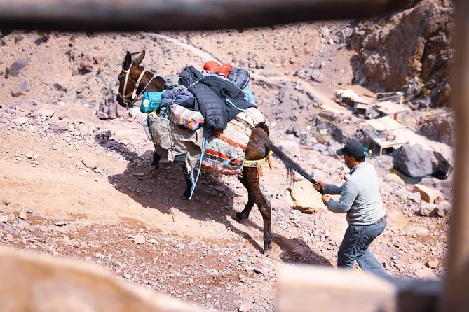 Toubkal Trekking 2 Days - Fitness and Medical Considerations