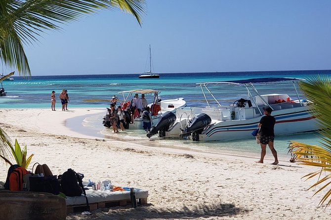 Tour to Saona Island - Pricing and Booking