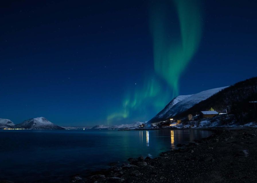 Tromsø: Lyngen Horseback Winter Evening Riding Experience - Meet the Lyngen Horses