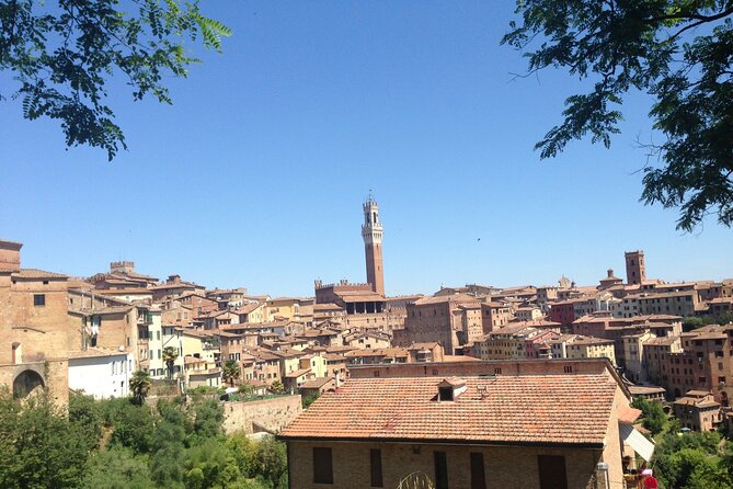 Tuscany Private Day Trip Siena and San Gimignano From Florence - Pricing and Reviews