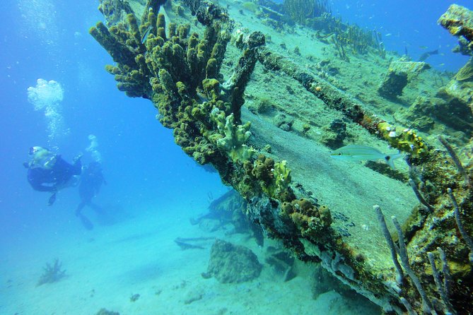 Two-Tank Dive for Certified Diving in St Thomas - Additional Important Information