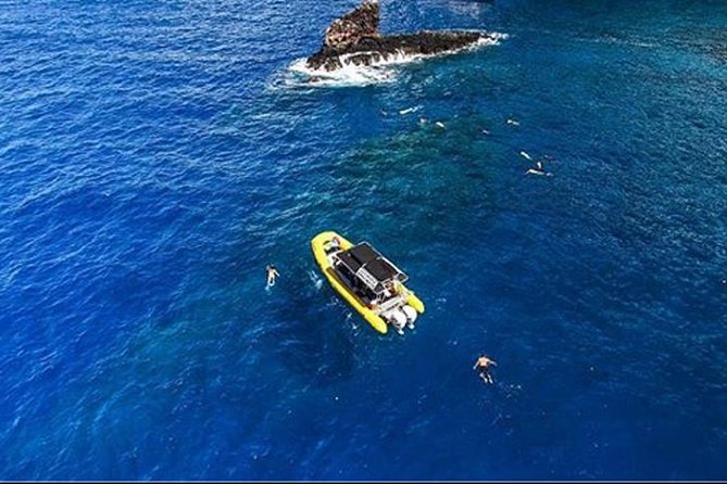 Ultimate 4 Hour Lanai Snorkel and Dolphin Encounter - Gear and Equipment Provided