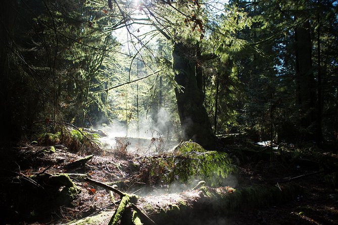 Vancouver Secrets of Stanley Park Walking Tour - Fascinating History Lessons