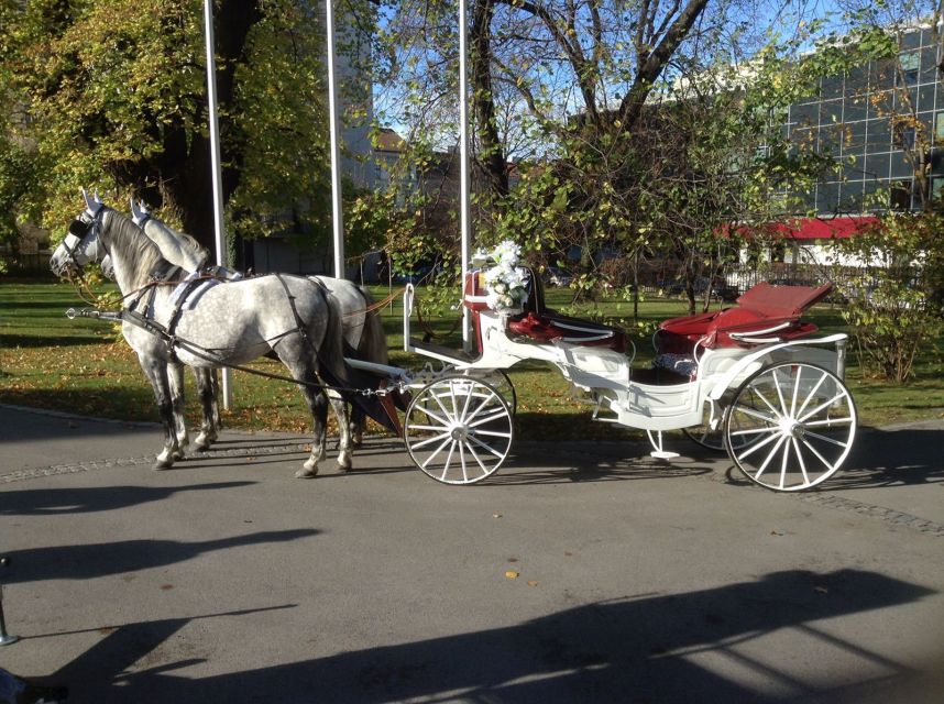 Vienna: 30-Minute Fiaker Ride in the Old Town - Fiaker Ride Details