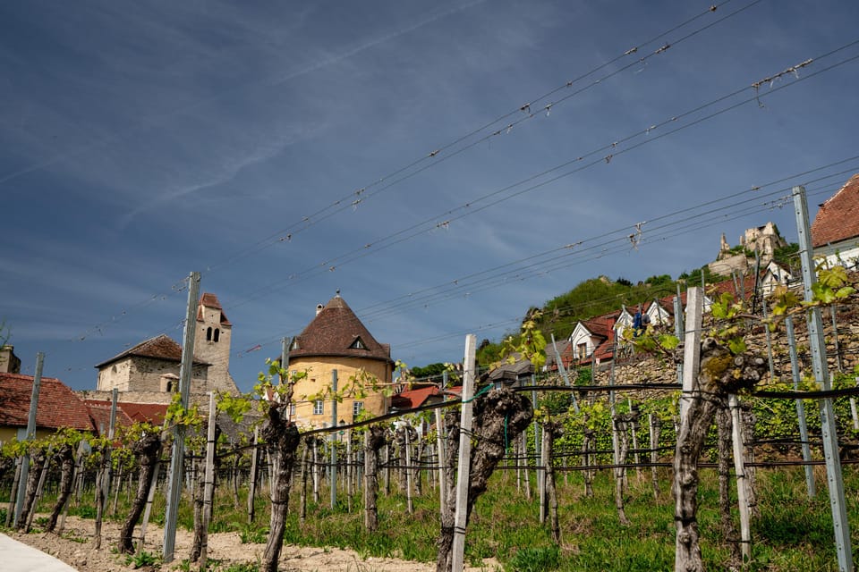 Vienna: Danube Valley 3 Castles and Wine Tasting Tour - Wine Experience