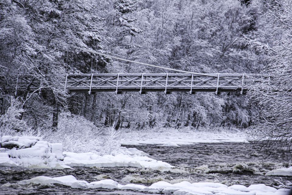 Vikakongas Hike: Nature and Silence - Snowshoe Adventure