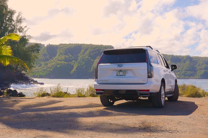 VIP Private Road to Hana Tour With Pick up - Customer Experiences