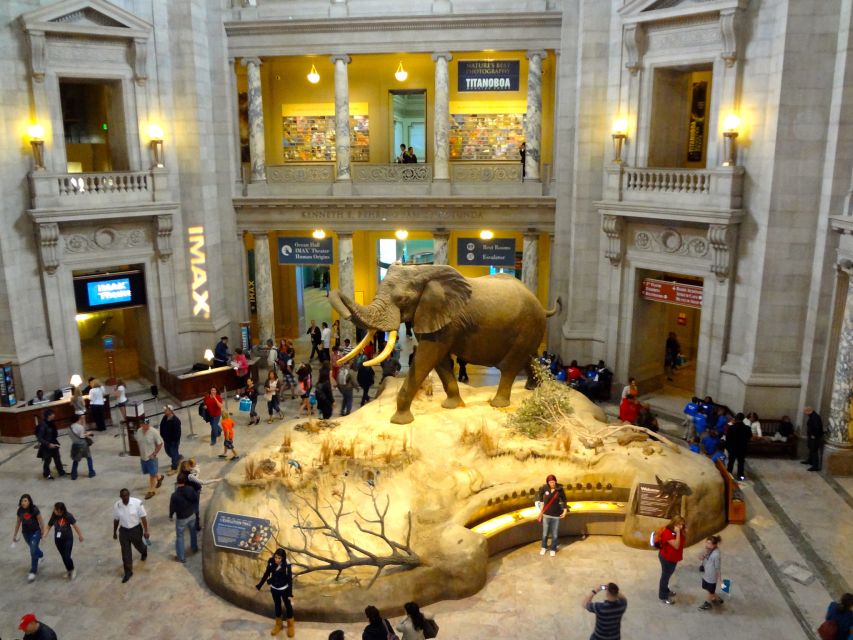 Washington DC: Museum of Natural History Private Guided Tour - Interactive Kid-Friendly Activities