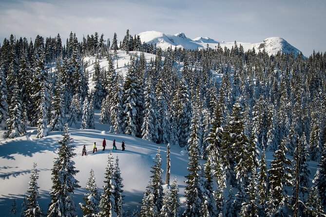 Whistler Snowshoeing Adventure - Explore Whistlers Winter Landscape