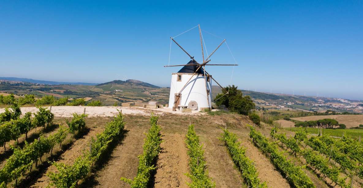 Wine Tour From Lisbon With Tastings & Winemaker for a Day - Excluded Tour Items