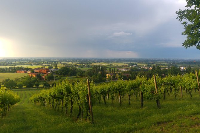 Winetour and Tasting on Bologna Hills, Guided by the Wine Grower - Getting to the Manaresi Estate